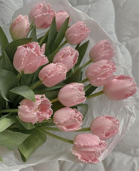 Fringed pink tulips 🌷 | Flower arrangements, Flowers, Flowers bouquet gift