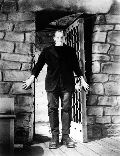 CLASSIC MOVIES: FRANKENSTEIN (1931)