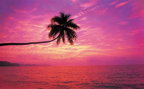 Most Beautiful Beaches Sunset | Looking at this beach wallpaper reminds us of the various colors ...