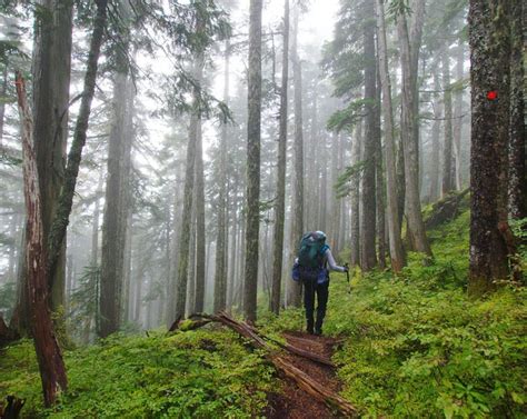 Sunshine Coast Trail: What You Need to Know - Hike Bike Travel