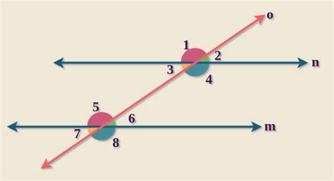 Alternate Exterior Angles: Definition, Theorems, and Examples