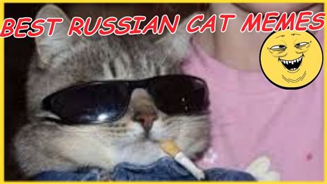 Russian Cat Memes - YouTube