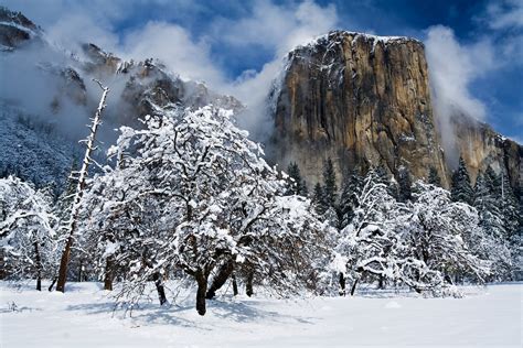 El Capitan, Park, Narodowy, Yosemite, Kalifornia