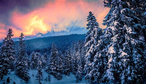 winter wallpapers, photos and desktop backgrounds up to 8K [7680x4320 ...