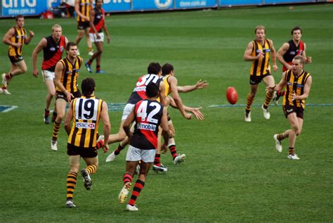File:Ball is in dispute in Hawthorn-Essendon AFL match.jpg - Wikimedia Commons