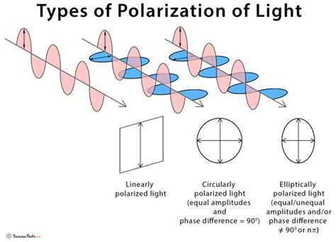 Polarization of Light: Definition, Diagram, and Applications