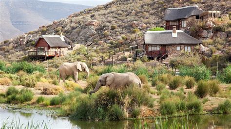 4 Safari Destinations in South Africa You Can Get to from Cape Town | Condé Nast Traveler
