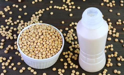 Soy and Phytoestrogens | Paleo Leap