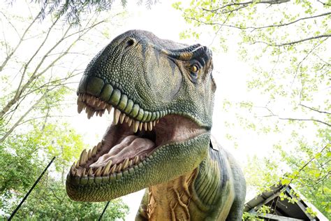 Dinosaur Island Returns to the Columbus Zoo and Aquarium Memorial Day Weekend | Columbus Zoo and ...