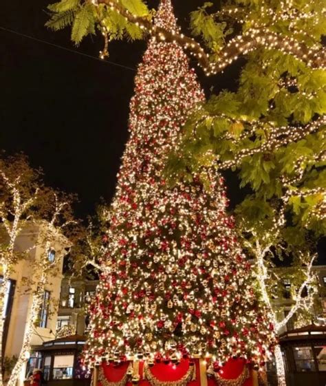 Kick Off the Holidays: 15 LA Tree-Lighting Ceremonies 2024