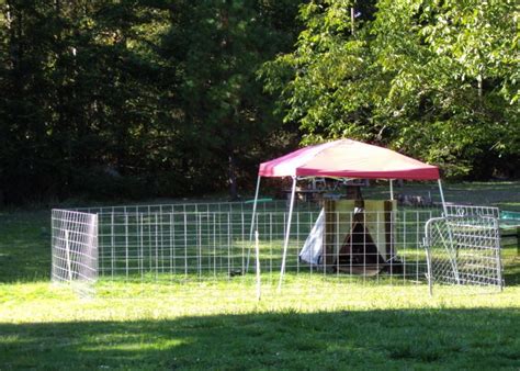 Movable Pens | Dairy goats, Goat shelter, Goat farming