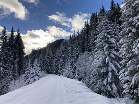 Best Beginner Cross Country Skiing near Seattle - Ordinary Adventures