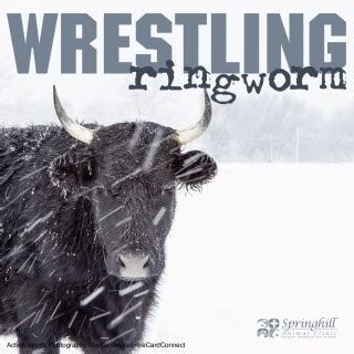 Ringworm in Cattle - Springhill Animal Clinic