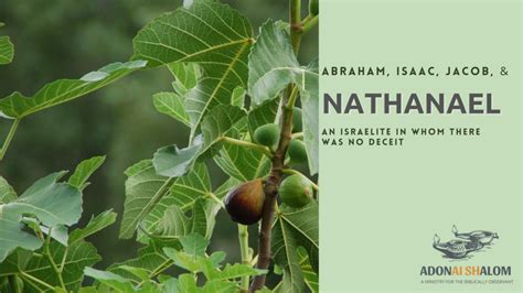 Abraham isaac jacob nathanael an israelite in whom there was no deceit – Artofit