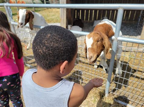 250 Acres of Farm Fun at Country Pumpkins Fall Festival - Southwest ...