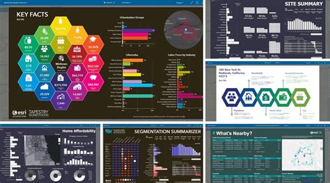 Use Business Analyst Infographics in Your Custom Applications