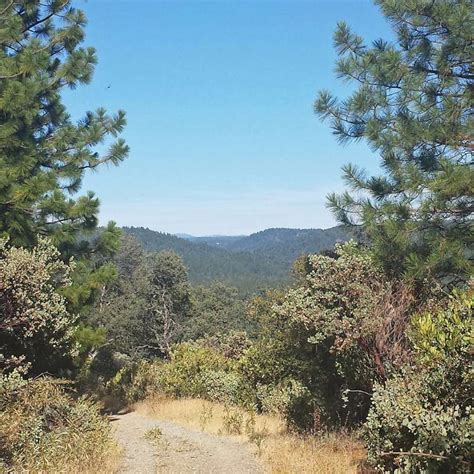 Sugarloaf Mountain Trail | Bear Yuba Land Trust