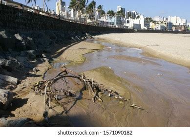 12 Pollution Brazil Pouring Into Ocean Images, Stock Photos & Vectors ...