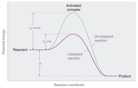 What will occur if a catalyst is added to a reaction mixture? | Socratic