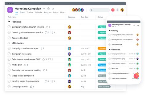 Asana: Project Management App | Filament Essential Services