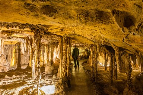 Great Basin National Park — The Greatest American Road Trip