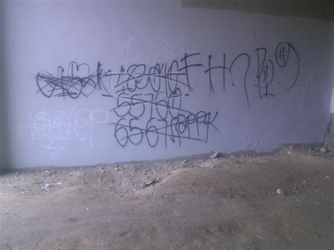 blood gangs graffiti: Fruit harvard ness brims