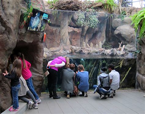 Fun at the Downtown Aquarium, Denver from GoFatherhood®