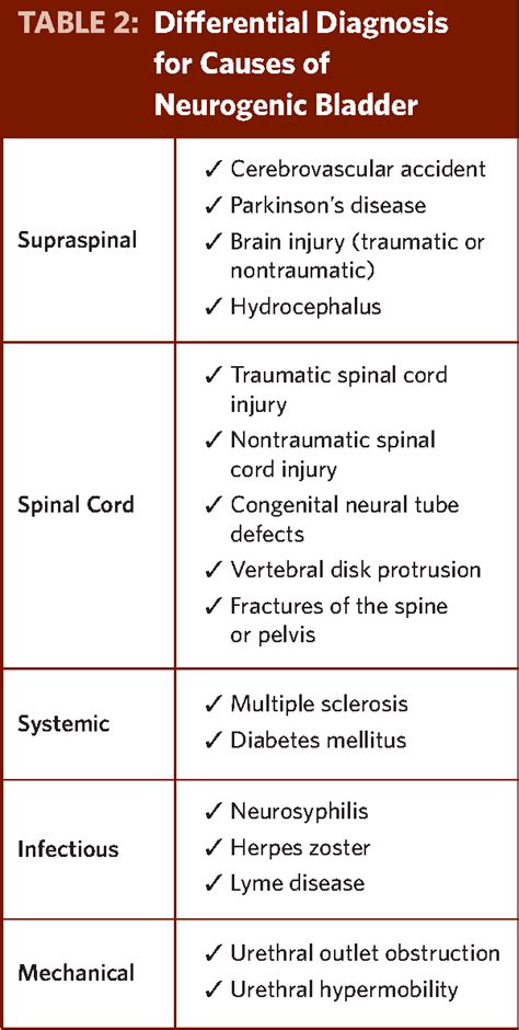 Table 2 from TABLE 2 : Differential Diagnosis for Causes of Neurogenic Bladder Supraspinal ...