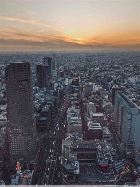 Shibuya Scramble Square: A Guide To Tokyo's Newest & Most Instagenic ...