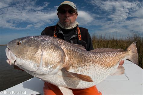 Louisiana Fly Fishing November 2015 - Laguna Madre Outfitters, Capt. Ben PaschalLaguna Madre ...