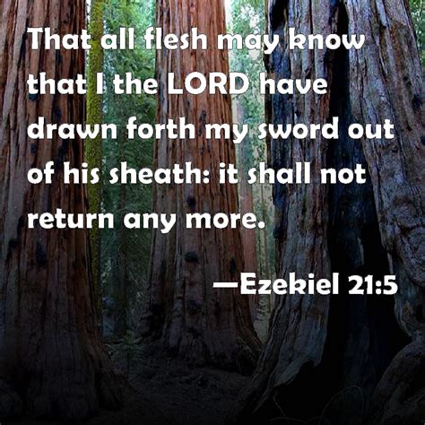 Ezekiel 21:5 That all flesh may know that I the LORD have drawn forth my sword out of his sheath ...