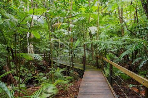 The Red Arrow Walk - Cairns Attractions - Mid City Cairns