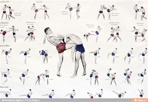 Effective Muay Thai techniques: how to dominate in the ring | Muay thai ...