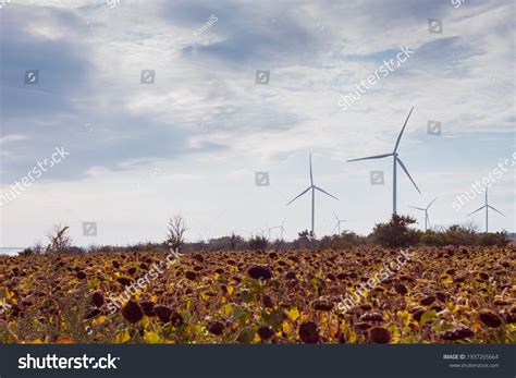 41,822 Wind Turbine Sunset Images, Stock Photos & Vectors | Shutterstock