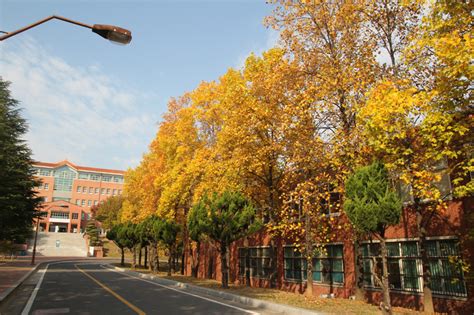 [Tour] Fall into Keimyung University!