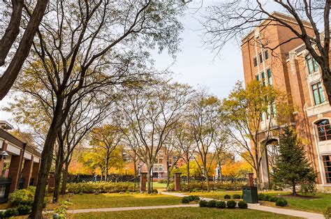 Campus and Community | Sections | DePaul University Newsline | DePaul ...