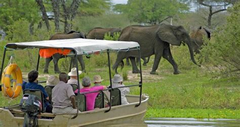 Selous Game Reserve | Tanzania | Wild Safari Guide