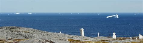 Bonavista North Museum & Gallery: Icebergs