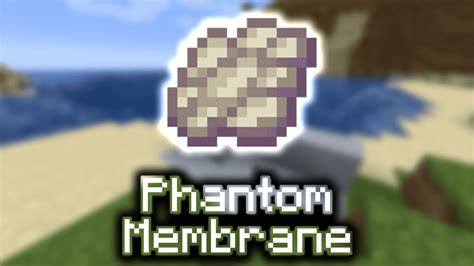 Phantom Membrane - Wiki Guide - 9Minecraft.Net