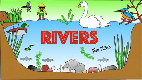 River Habitats for Kids | Facts and quiz | Rivers - YouTube