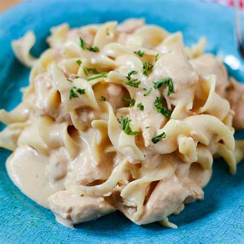 Slow Cooker Chicken Stroganoff Recipe - Tammilee Tips