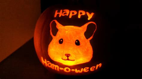 🎃 How to carve a cute pet pumpkin! 🎃 - YouTube