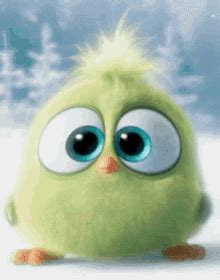 Sad Bird Cartoon GIFs | Tenor