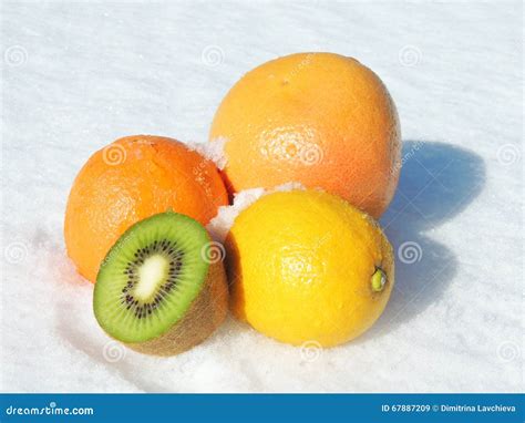 Citrus Fruit on Snow stock image. Image of cold, decoration - 67887209