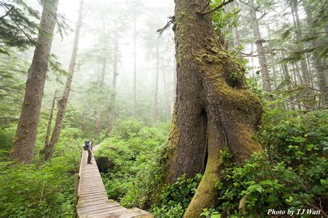 West Coast Trail - Port Renfrew - Handsome Dan's