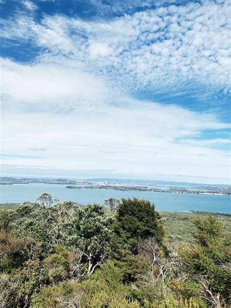 HOW TO GET A RANGITOTO ISLAND TOUR — Tanna Wasilchak