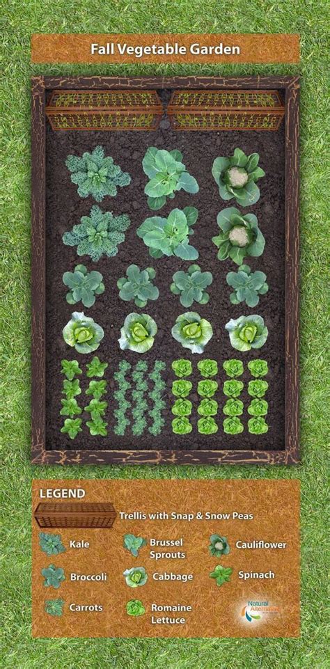 Here's a simple fall vegetable plant-a-gram, or garden plan, to help produce healthy … | Fall ...