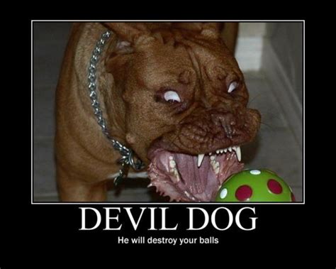 Funny Quotes About The Devil. QuotesGram