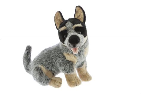 Promotional Bluey – Australian Cattle Dog - Bongo