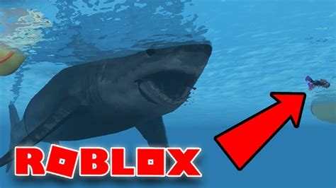 THE MOST INSANE JAWS GAME IN ROBLOX! | SharkBite (Alpha) | Roblox Survival Games - YouTube